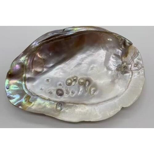 Wholesale River Natural White 12*17cm Lip Mother Of Pearl Shell Artwork Pieces