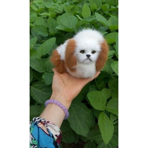 10 pieces a lot cute simulation dog models polyethylene & furs sitting peking dog doll gift about 14x11cm 0937