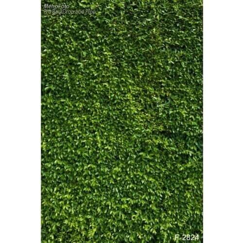 5X7ft Thin vinyl photography backdrops Green leaf wall photo background computer printed backdrops for photography studio F-2824