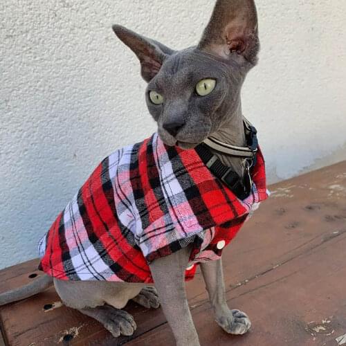 Plaid Cat Clothes Autumn Winter Pet Clothing for Small Cats Dogs Cotton Cat Costumes Soft Kitten Kitty Coat Jacket Puppy Outfit