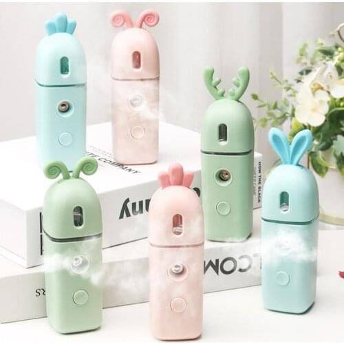 Cute Facial Sprayer Heavy Fog Skin Care Tools Portable Air Facial Humidifier USB Charging Cable Fogger Mist Maker for Going Out