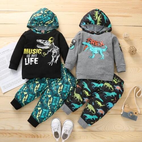 2021-07-13 Lioraitiin 0-4Years Toddler Baby Boy 2Pcs Autumn Clothing Set Long Sleeve Animal Printed Hooded Top Long Pants