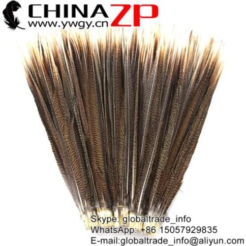 CHINAZP Wholesale Decorative Feathers Hand Selected Prime Quality 20 to 22 inch Natural Golden Pheasant Center Tail Feather