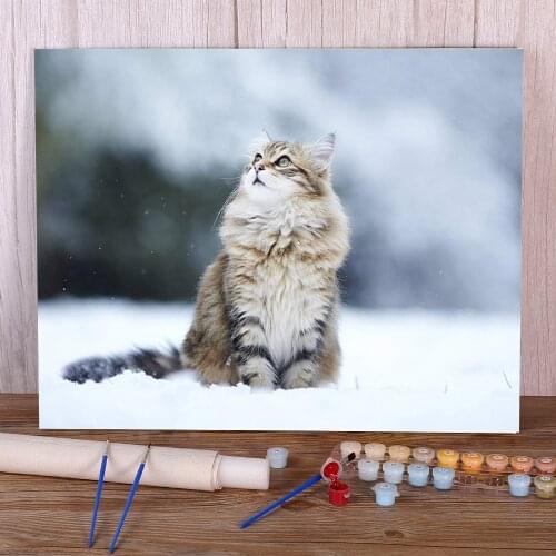 Cat Winter Animal Coloring By Numbers Painting Kit Oil Paints 40*50 Canvas Pictures New Design For Kids For Drawing Art
