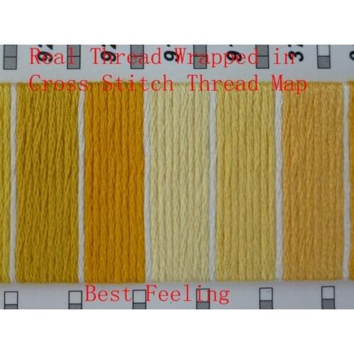 Embroidery Cross Stitch Embroidery Thread Floss 447 Colors Map Book Guide For You to Choose Accurate Colors Genuine Thread Made