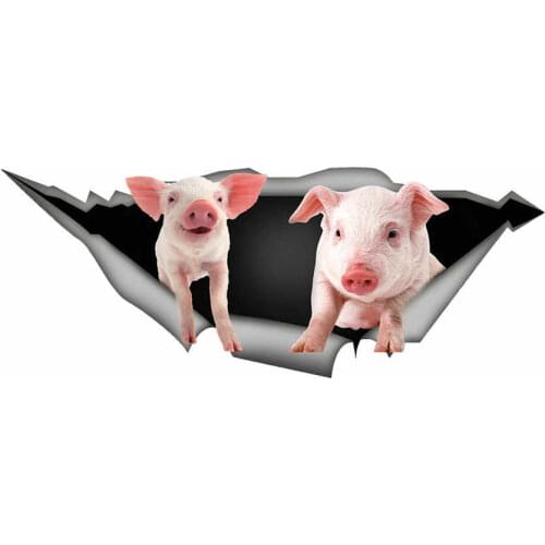 B0534# 13CM/17CM Self-Adhesive 3D Decal Pig Car Sticker Waterproof Auto Decors on Bumper Rear Window Laptop