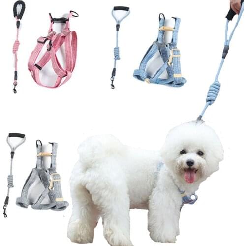 Loyione Collars, Harnesses And Leashes