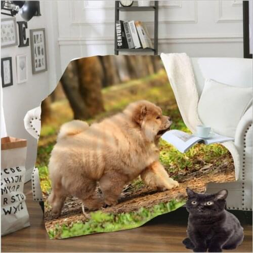 Sofa Bedding Patterned Office Chow Chow Harajuku Doge Dog Girl Boy Stuffed Blanket Bedspread Baby Travel Blanket Sofa Quilt A27