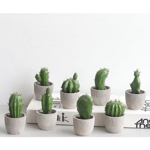 Artificial Cactus Desktop Decoration Set Cactus Tropical Plant Desktop Decoration Wholesale Office, Living Room Decoration Gifts