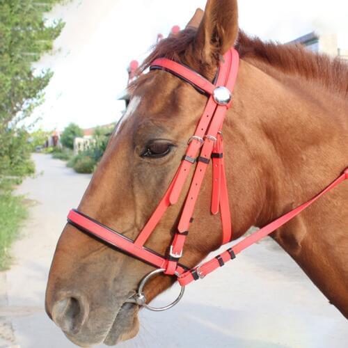 High Quality Horse Head Collar Hanging Horse Riding Reins Horse Riding Equipment Hanging Neck PVC Equestrian Accessories