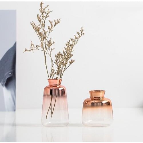 Nordic minimalist ins literary desktop dried flowers hydroponics mini gradient small transparent glass vase decoration ornaments