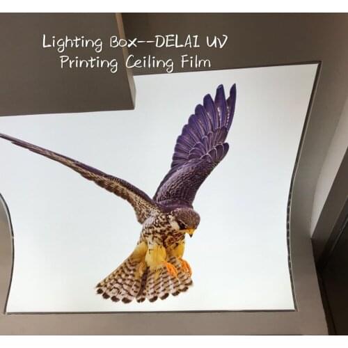 Vivid Tiger Running Printing Ceiling Film Black background Stretch Ceiling Film with fluorescent backlit