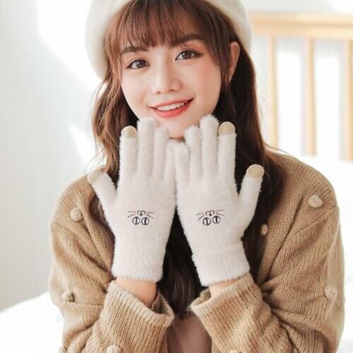 Knitted Plush Gloves Ladies Winter Outdoor Full-finger Windproof Warmth Touch Screen Playful Cute Embroidery Student