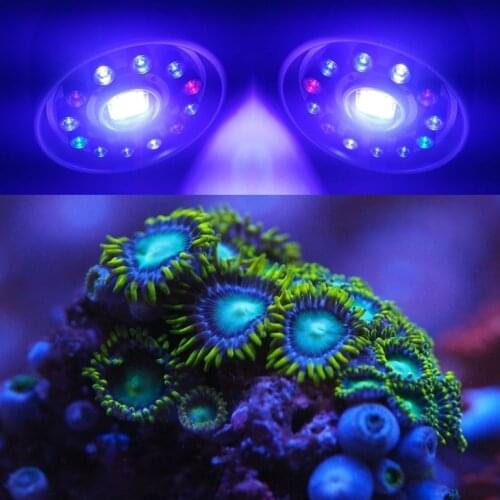 150w Full Spectrum LED Aquarium Lighting Reef Lamp CREE Chip Bulb for Marine SPS LPS Fish with 2 Channel Switches Control
