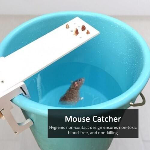 DIY Non-toxic Home Garden Rat Trap Seesaw Mouse Catcher Bait Rat Controller Pest Killer Mice Traps for Household