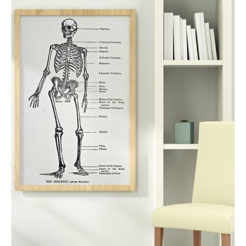 Wall Art Canvas Poster Painting Print Picture Living Room Decor Anatomy Medical Skeleton Human Body Muscle Science Education