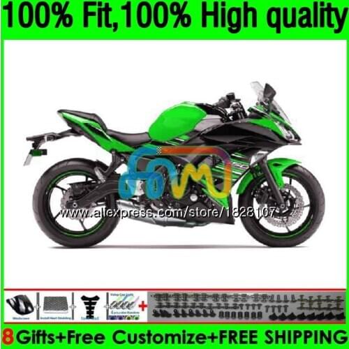 OEM Injection For KAWASAKI Bodys 650R ER6 F ER 6F 17 157BS.48 650R-ER6F ER-6F ER6F 17 18 19 2017 2018 2019 Fairings Hot green