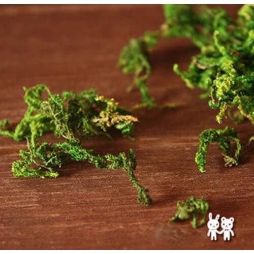 A small pack of dried Green Moss(Each package of about 350g),for Filler of the mini Hollow Glass bottles