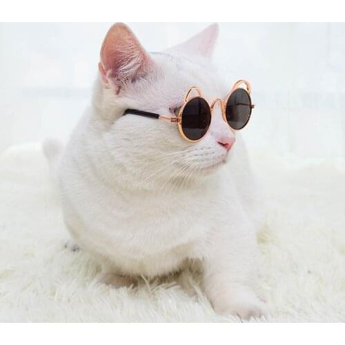Funny Vintage Colorful Cat Costume Sunglasses Dress Up Kitten Dog Eye Wear Protected Glasses for Small Pets Photos Accessories