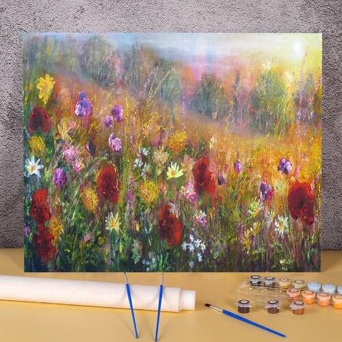 Natural Scenery Wild Glory Coloring By Numbers Painting Package Acrylic Paints 40*50 Painting On Canvas Wall Drawing