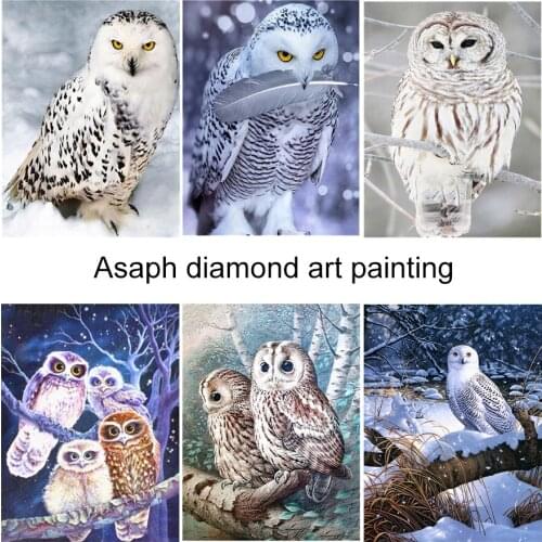 Animals Owl Strigiformes 5D Diy Drill Full Square and Round Diamond Painting Embroidery Cross Stitch Kit Wall Art Home Decor