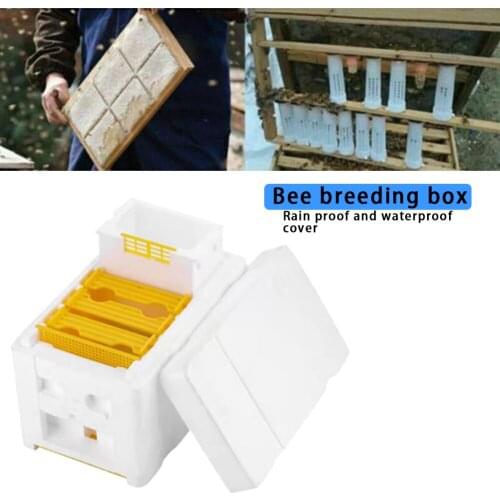 Multi-Function Beehive Beekeeping King Box Foam Home Bee Hive Pollination Boxes Beekeeper Mating Supplies