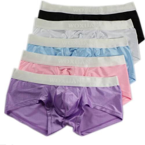 5Pcs/Lot Mens Boxers Shorts Wholesale Smooth Underwear Sexy Men Bulge Pouch Boxer Trunks Breathable Underpants Low Rise Bottoms