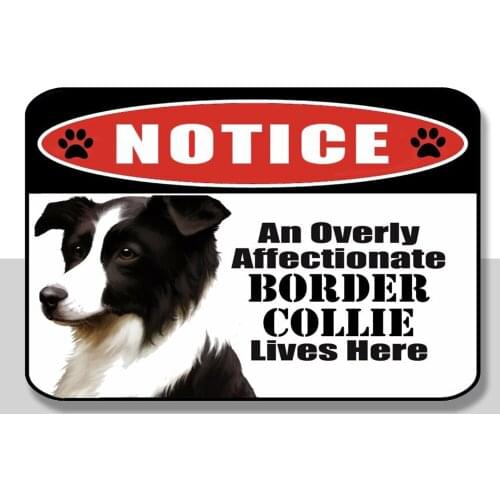 An Overly Affectionate Border Collie Lives Here 8 x 12 Laminated Dog Sign