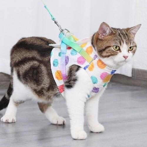 Pet Dog Rainbow Chest Strap Adjustable Puppy Harness Small Dogs Walking Traction Rope Pets Training Supplies