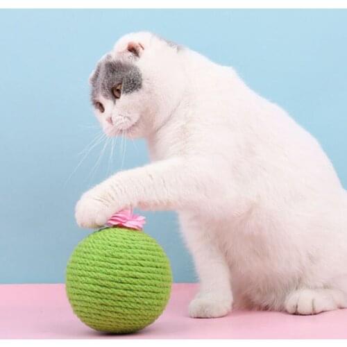 Cactus Sisal Rope Cat Ball Toy With Catnip Squeak Cat Teaser Toy Claws Grinding Play Chew Toys For Cats Scraper Kittens Cactus