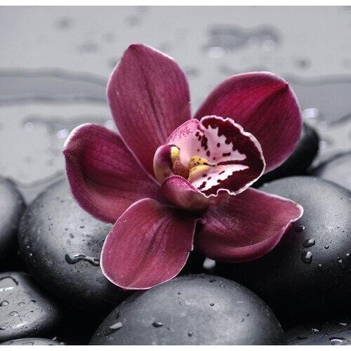 Mosaic Full Embroidery Flower Cross Stitch Resin Square/round Diamond Painting Sets Room Home Decor Picture By Numbers Sale