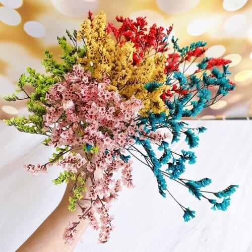 2g Natural Fresh Dried Preserved Flowers,Real Forever Crystal Grass Flower Heads,DIY Candle Flower Material Wedding Marriage Dec