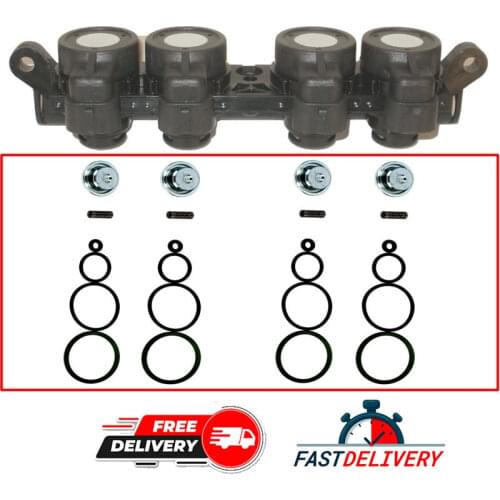 Landi and Landirenzo Evo LPG injector Repair Kit