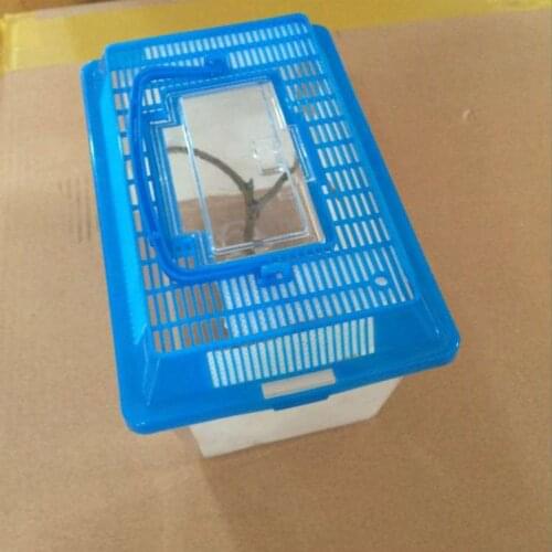 Hamster small toy insect hamster small toy Insect Grasshopper Feeding Cage Cricket Hamster Small Box Children Kids Gift Toy