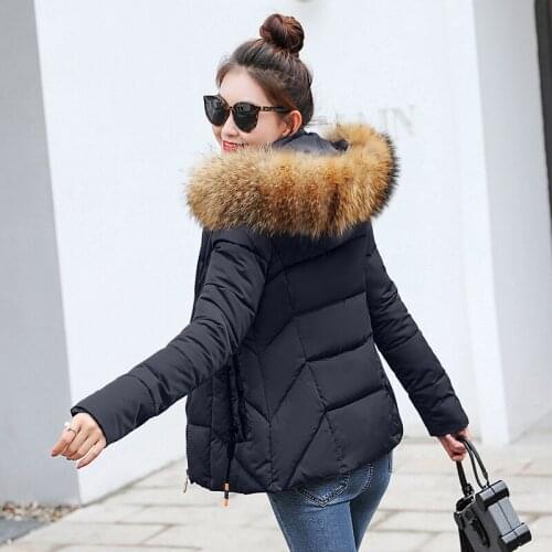 2019 Autumn Winter Jacket Women Parkas Fashion Female coat With a Hood Large Faux Fur Collar Winter Coat women