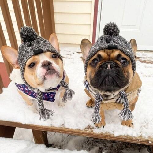 Windproof Hat Dog Kids Hats Winter Warm Knitted Pet Dogs Hats Christmas Clothes Funny Cat Dog Accessories Pet Dress up