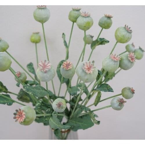 60cm 4Heads/branch Artificial Poppy Fruit Branch Aritificial Flower Home Decoration Plastic False Popies Green Plant