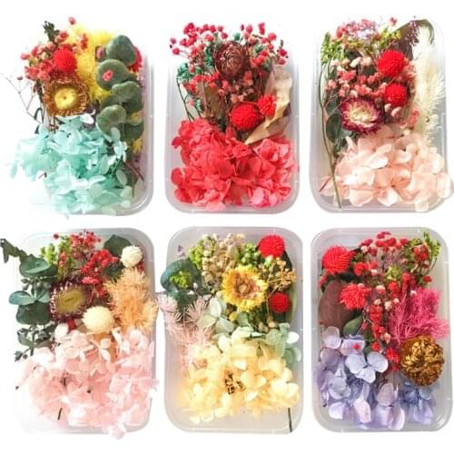 T84A 1 Box Dried Flowers UV Resin Decorative Natural Flower Stickers 3D Dry Beauty Decal Epoxy Mold DIY Filling Making Craft
