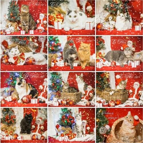 Evershine 5D DIY Diamond Painting Cat Craft Kit Full Square Round Diamond Embroidery Animal Cross Stitch Christmas Decorations
