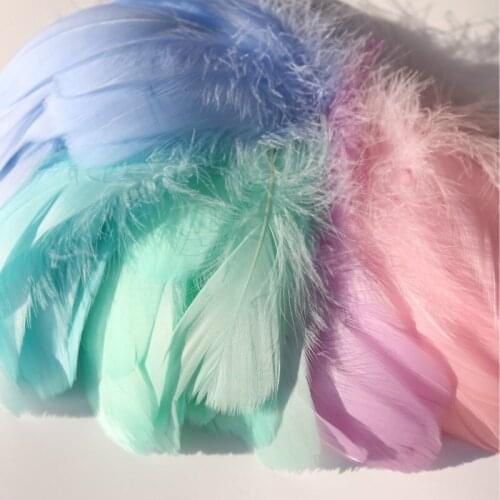 50pcs Natural Mixed Color Feathers 5-10cm Goose Feather Plumes for Wedding Hat Hair Accessories Home Craft DIYJewelry Decoration
