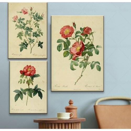 Antique Plants Pictures Canvas Posters Vintage Botanical Prints Office Studies Decor Wall Art Pictures Rose Flower Painting