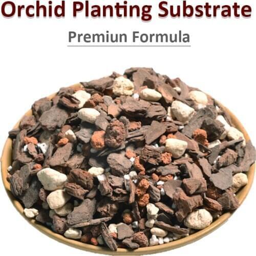 Slow-Release Orchid Substrate Planting Fertilizer Orchid Grow Media Special Mixed Planting Soil/Fertilizer/Stone
