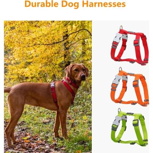 Strong and Durable Nylon Dog Harness Small-large Dog Leashes Golden Retriever Corgi French Bulldog Dog Leads Dog Accessories