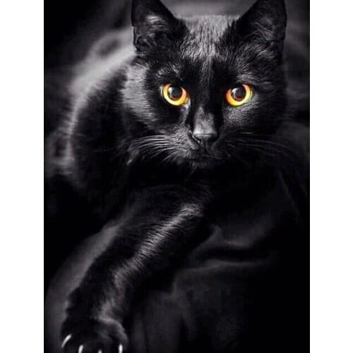 5D DIY Diamond Painting Black Cat Kit Full Square Round Drill Diamond Embroidery Animal Mosaic Picture of Rhinestones Home Decor
