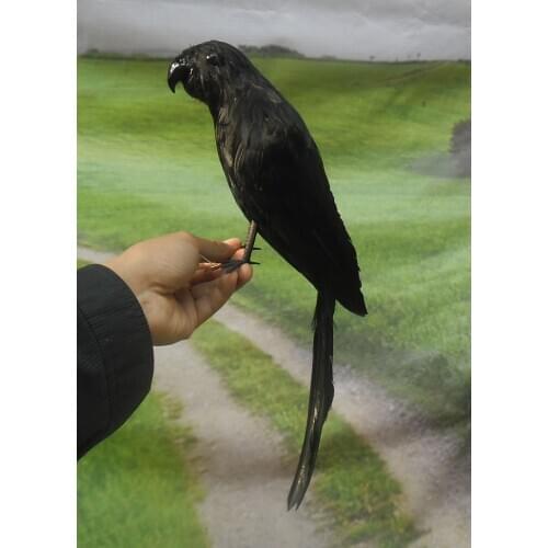 New creative simulation parrot toy polyethylene & furs black parrot model gift about 40cm 1596