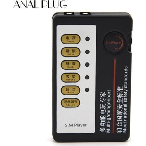 Electro Stimulation Electric Shock Accessories Therapy Massager Electric Dual Output Host SM Player Toy