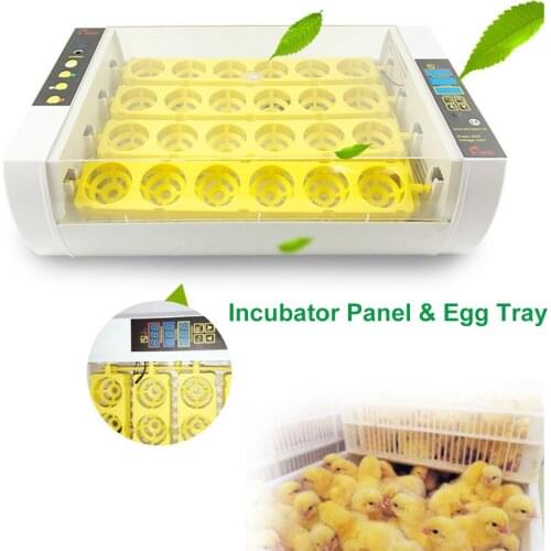 24 Small Poultry Control Fully-automatic Incubators Cast For Chicken Duck Collection Farm Animal Egg Turn Over Eggs Breeding