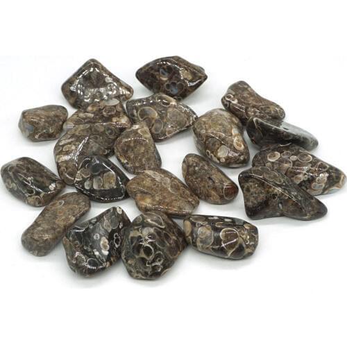 Turitella Agate Tumbled Stone Irregular Polished Natural Rock Crystal Quartz Chakra Healing Decor Minerals Collection