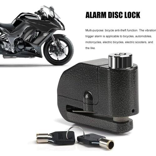 AUTOECHO Anti-theft Devices