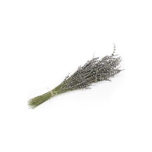 Dekorsende Dried Dry flower Lavender Bundle 55cm decoration artificial flower искусственный цветок